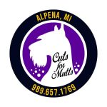 cuts-for-mutts-alpena